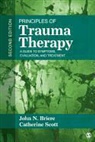 John Briere, John N Briere, John N. Briere, John N. (Neale) Briere, John N. Scott Briere, John Briere... - Principles of Trauma Therapy