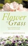 Daphne Harold-Warner - Flower of Grass