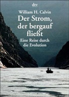 William H. Calvin - Der Strom, der bergauf fließt