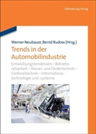 Neubaue, Werne Neubauer, Werner Neubauer, Rudo, Rudow, Rudow... - Trends in der Automobilindustrie