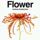 Andrew van Dongen, Ron van Dongen, Andrew Zuckerman, Andrew Zuckermann, Andrew Zuckerman - Flower