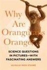 Mick O`hare, Mick O'Hare - Why Are Orangutans Orange? - Science Questions in Pictures--With Fascinating Answers