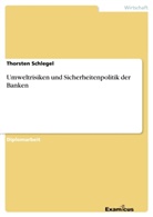 Thorsten Schlegel - Umweltrisiken und Sicherheitenpolitik der Banken