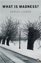 Darian Leader, Leader Darian - What Is Madness?