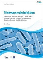 Wolfgang Roeske - Trinkwasserdesinfektion, m. DVD-ROM (eBook + Zusatzmaterial)