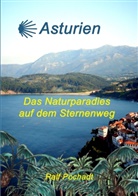 Ralf Pochadt - Asturien