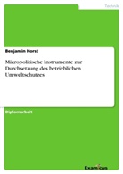 Benjamin Horst - Mikropolitische Instrumente zur Durchsetzung des betrieblichen Umweltschutzes