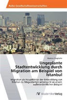 Marlene Ringhofer - Ungeplante Stadtentwicklung durch Migration am Beispiel von Istanbul