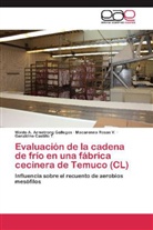Waldo Armstrong Gallegos, Waldo A Armstrong Gallegos, Waldo A. Armstrong Gallegos, Cas, Geraldine Castillo T., Macarenn Rosas V... - Evaluación de la cadena de frío en una fábrica cecinera de Temuco (CL)