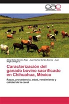 Alma Deli Alarcón-Rojo, Alma Delia Alarcón-Rojo, Juan Carlo Cortés-García, Juan Carlos Cortés-García, Juan Ángel Ortega G. - Caracterización del ganado bovino sacrificado en Chihuahua, México