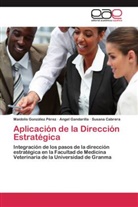 Cabrera, Susana Cabrera, Ange Gandarilla, Angel Gandarilla, Maidoli González Pérez, Maidolis González Pérez - Aplicación de la Dirección Estratégica