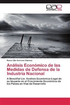 Renzo Elio Andrade Chirinos - Análisis Económico de las Medidas de Defensa de la Industria Nacional