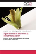 Edils Reguera Ruiz, Edilso Reguera Ruiz, F Sánchez S, Feliciano Sánchez S., Alm Valor Reed, Alma Valor Reed - Fijación del Calcio en la Nixtamalización