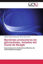 Adriana Elizabe Alvarenga, Adriana Elizabet Alvarenga, María Inés Arevalo - Bacterias productoras de glicosidasas, aisladas del Canal de Beagle