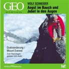 Wolf Schneider - Angst im Bauch und Jubel in den Augen, 1 Audio-CD (Audio book)