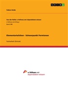Fabian Heide - Elementarteilchen - Schwerpunkt Fermionen
