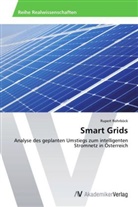 Rupert Rohrböck - Smart Grids