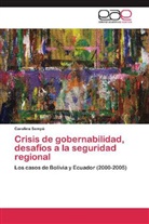 Carolina Sampó - Crisis de gobernabilidad, desafíos a la seguridad regional