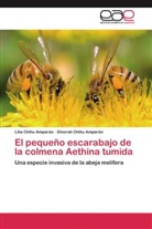 Dinorah Chihu Amparán, Lili Chihu Amparán, Lilia Chihu Amparán - El pequeño escarabajo de la colmena Aethina tumida