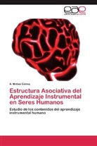 A Matías Gámez, A. Matías Gámez - Estructura Asociativa del Aprendizaje Instrumental en Seres Humanos