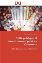 Kame, Thiery Urgue Kame  Babilla, Thiery Urgue Kame Babilla, Kame babilla-t - Dette publique et investissement