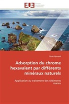 Omar Ajouyed, Ajouyed-o - Adsorption du chrome hexavalent