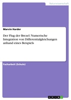 Marvin Harder - Der Flug der Brezel: Numerische Integration von Differentialgleichungen anhand eines Beispiels
