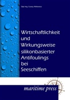Cesary Afeltowicz, Cezary Afeltowicz - Wirtschaftlichkeit und Wirkungsweise silikonbasierter Antifoulings bei Seeschiffen
