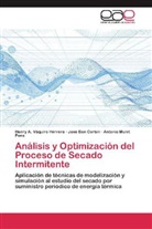 Jos Bon Corbín, José Bon Corbín, Mulet Po, Antonio Mulet Pons, Henry Váquiro Herrera, Henry A Váquiro Herrera... - Análisis y Optimización del Proceso de Secado Intermitente