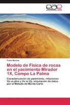 Pedro Medina - Modelo de Física de rocas en el yacimiento Mirador 1X, Campo La Palma