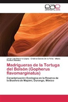 Jorge Lui Becerra López, Jorge Luis Becerra López, Crist García De la Peña, Cristina García De la Peña, Ulises Romero Méndez - Madrigueras de la Tortuga del Bolsón (Gopherus flavomarginatus)