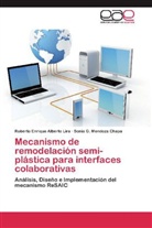 Roberto Enriqu Alberto Lira, Roberto Enrique Alberto Lira, Sonia Mendoza Chapa, Sonia G. Mendoza Chapa - Mecanismo de remodelación semi-plástica para interfaces colaborativas