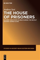 Andrea Seri - The House of Prisoners