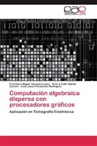 José Jesús Fernández Rodríguez, Gra Martín Garzón, Gracia Ester Martín Garzón, Francisco Migue Vázquez López, Francisco Miguel Vázquez López - Computación algebraica dispersa con procesadores gráficos