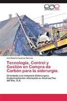 Ivan Rodolfo Figueroa Sánchez - Tecnología, Control y Gestión en Compra de Carbón para la siderurgia.
