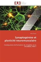 Brice Faraut, Faraut-B - Synaptogenese et plasticite