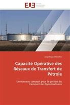 D onofrio-j, Jorge Rojas D'Onofrio - Capacite operative des reseaux de