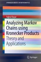 Tugrul Dayar - Analyzing Markov Chains using Kronecker Products