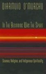&amp;apos, Diarmuid Ao Murchau, Diarmuid murchu, D O Murchu, O&amp;apos, Diarmuid O'Murchu... - In the Beginning Was the Spirit