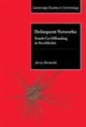 Jerzy Sarnecki, Alfred Blumstein, David P. Farrington - Delinquent Networks