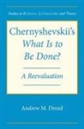 Andrew Drozd, Andrew M. Drozd - Chernyshevskii''s ''what Is to Be Done