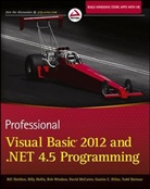 Todd Herman, Gastón Hillar, Bill Hollis, Billy Hollis, Jonathan Marbutt, David McCarter... - Professional Visual Basic 2012 and .Net 4.5 Programming