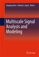 I Zayed, I Zayed, Xiaopin Shen, Xiaoping Shen, Ahmed I. Zayed - Multiscale Signal Analysis and Modeling