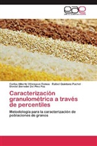 Uvedel Bernabé Del Pino Paz, Quintana Puchol, Rafael Quintana Puchol, Carlos Albert Villanueva Ramos, Carlos Alberto Villanueva Ramos - Caracterización granulométrica a través de percentiles