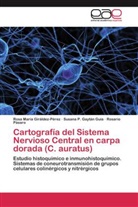 Susana Gaytán Guía, Susana P Gaytán Guía, Susana P. Gaytán Guía, Rosa Marí Giráldez-Pérez, Rosa María Giráldez-Pérez, P... - Cartografía del Sistema Nervioso Central en carpa dorada (C. auratus)