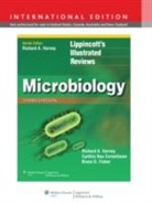 Cynthia Nau Cornelissen, Richard Harvey, Richard A. Harvey, Richard A. Cornelissen Harvey - Lippincott Illustrated Reviews: Microbiology