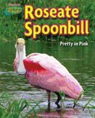 Stephen Person - Roseate Spoonbill