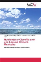 Rafae Cervantes, Rafael Cervantes, Silverio López, Luisa Margarit Rodríguez Mata, Luisa Margarita Rodríguez Mata - Nutrientes y Clorofila a en una Laguna Costera Mexicana
