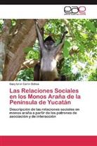 Gary Uriel Carlín Ochoa - Las Relaciones Sociales en los Monos Araña de la Península de Yucatán