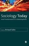 Arnaud Sales, Arnaud (EDT) Sales, Arnaud Sales - Sociology Today